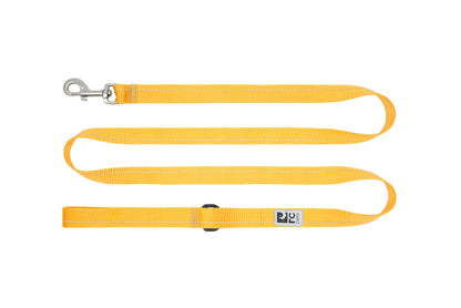 Laisse de base pour chien - RC Pets