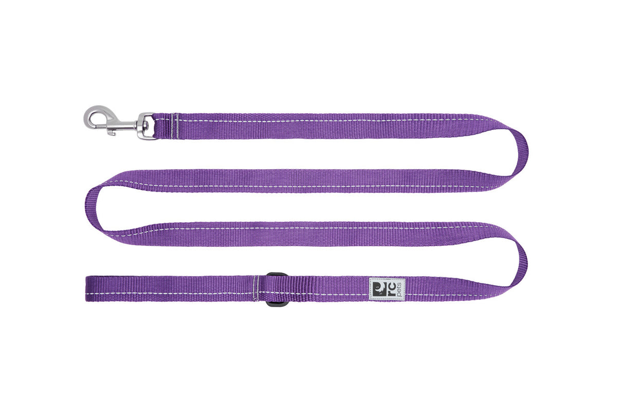 Laisse de base pour chien - RC Pets