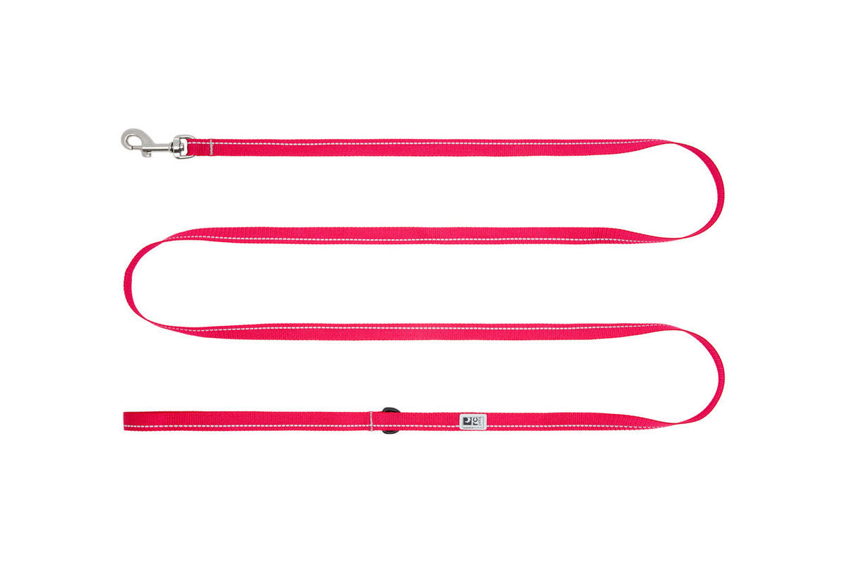 Laisse de base Petite 1/2 po x 6 pi pour chien - RC Pets