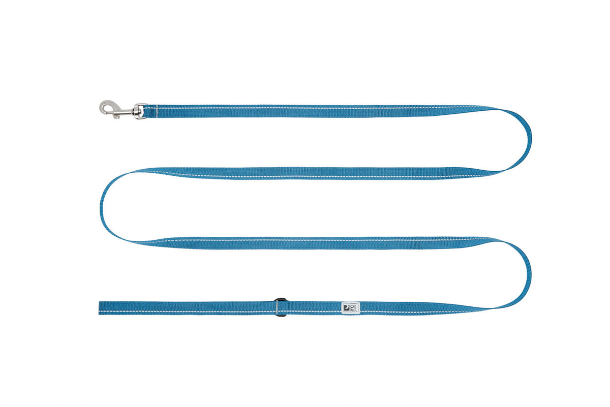 Laisse de base Petite 1/2 po x 6 pi