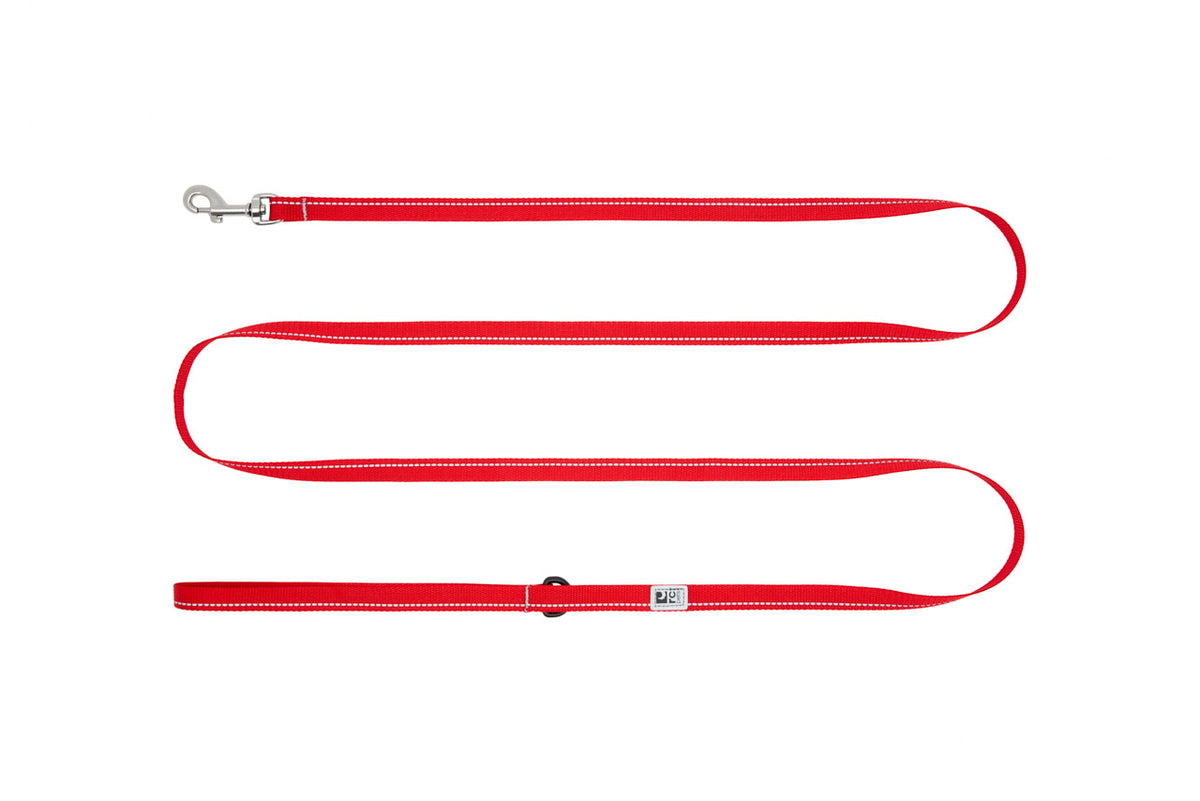 Laisse de base Petite 1/2 po x 6 pi