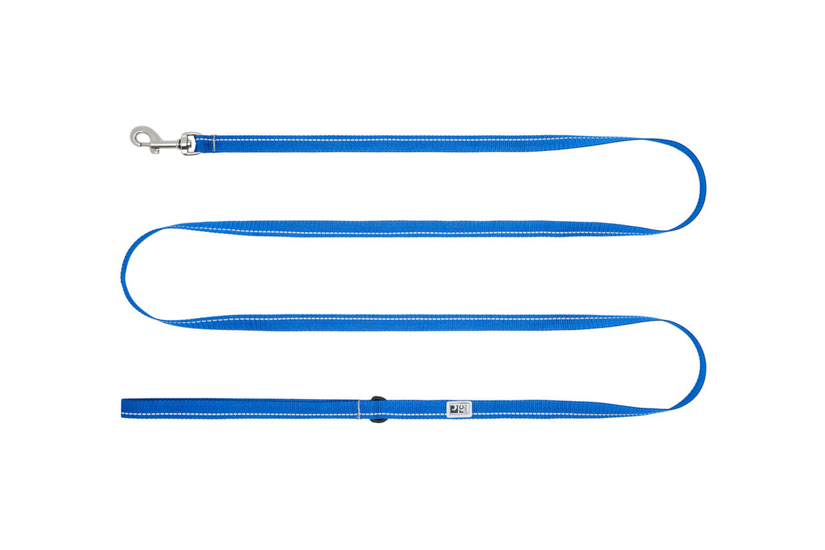 Laisse de base Petite 1/2 po x 6 pi