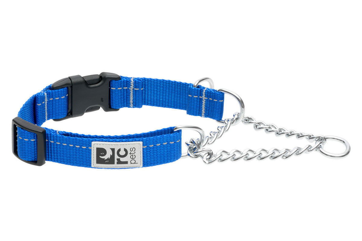 Collier de dressage de base