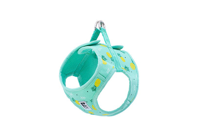 Harnais à enfiler Cirque pour chien - RC Pets
