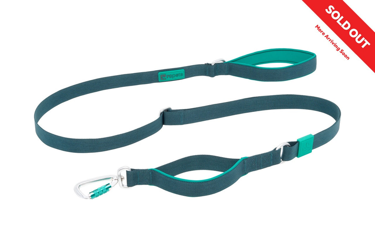 Laisse Stratus 1 po x 7 pi