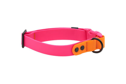 Collier imperméable pour chien - RC Pets
