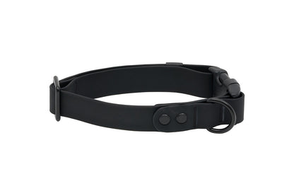 Collier imperméable pour chien - RC Pets