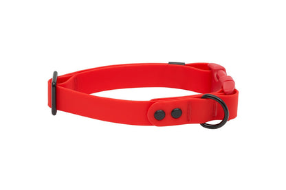 Collier imperméable pour chien - RC Pets