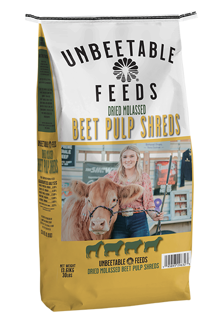 Pulpe de betterave déchiquetée avec mélasse 13,6 kg