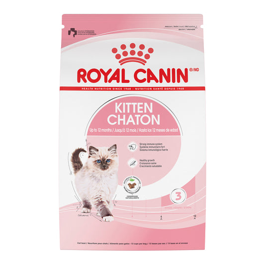 Chaton - nourriture sèche pour chat