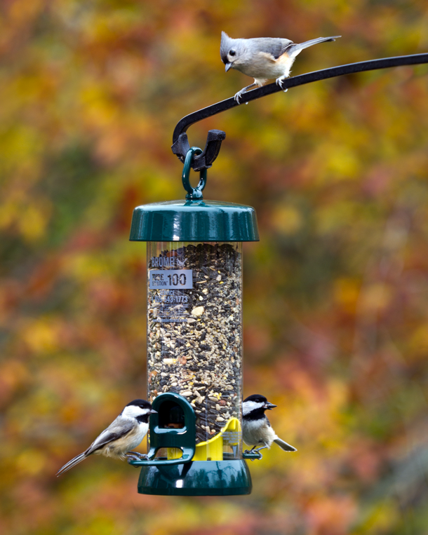 Mangeoire tubulaire Birds-Up Tube Solution 100