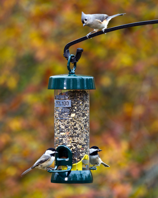 Mangeoire tubulaire Birds-Up Tube Solution 100