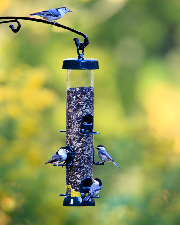 Mangeoire tubulaire Birds-Up Tube Solution 200