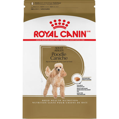 Caniche adulte - nourriture sèche pour chien