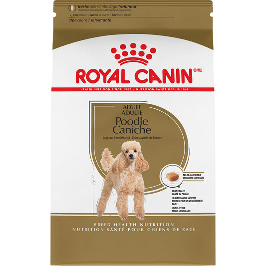 Caniche adulte - nourriture sèche pour chien