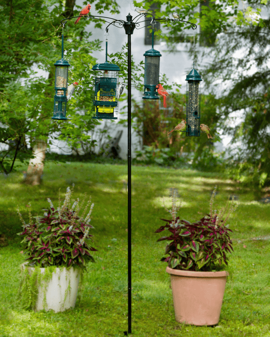 Système de poteau Birds-Up Versa