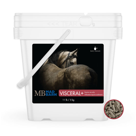 Supplément digestif Visceral+ Mad Barn
