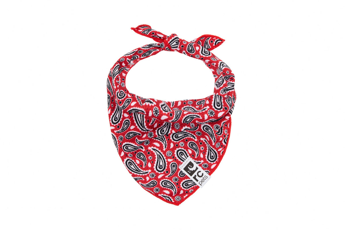 Bandana rafraîchissant Zephyr pour chien - RC Pets